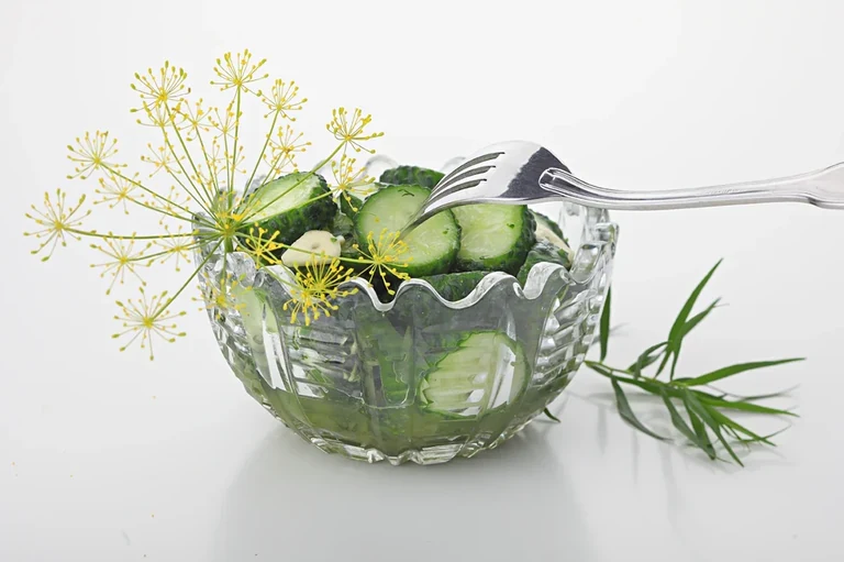 Kulinarmagie — Gurkensalat in einer Glasschale mit Kräutern